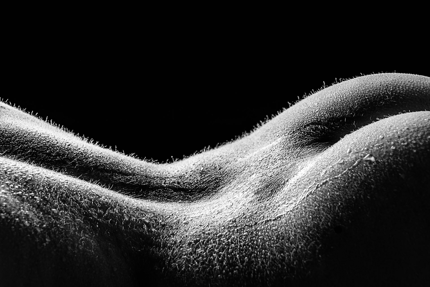 Slider_4